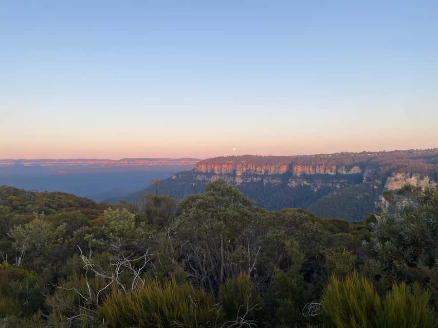 #1 Blue Mountains Tour Scenic World Waterfalls Wildlife Park - Who should book this Blue Mountains tour?