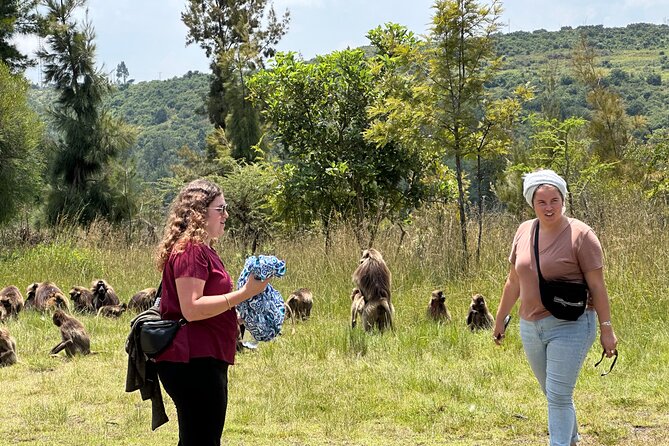 1-Day Tour Old bridge, Monastery,water falls Wildlife,Birds, - Key points to know before you go