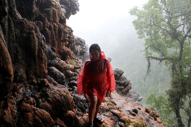 1 Day - ULTIMATE TOUR Tumpak Sewu Waterfall and Goa Tetes cave // 07:30 - 17:30 - Booking advice for a smoother morning