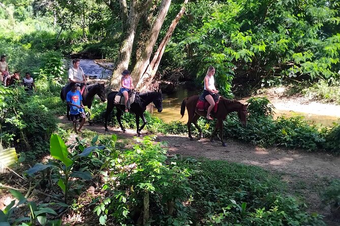 16 Lines Zipline, Cave, Hiking & Biausevu Waterfall Combo Tour - Swimming beneath a natural waterfall