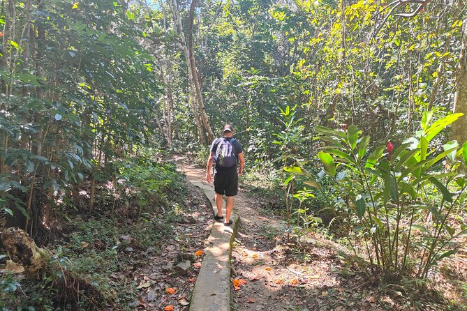 16 Lines Zipline, Cave, Hiking & Biausevu Waterfall Combo Tour - Is $182.97 a fair price?