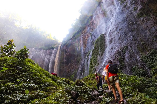 1Day - Tumpak Sewu Waterfall and Goa Tetes Cave Trekking - The key points at a glance