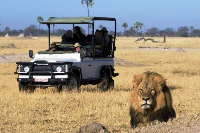 2-Day Camping Safari in Chobe National Park from Victoria Falls - Three hours on the Chobe River