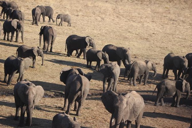 2-Day Camping Safari in Chobe National Park from Victoria Falls - Food, water, and camp service