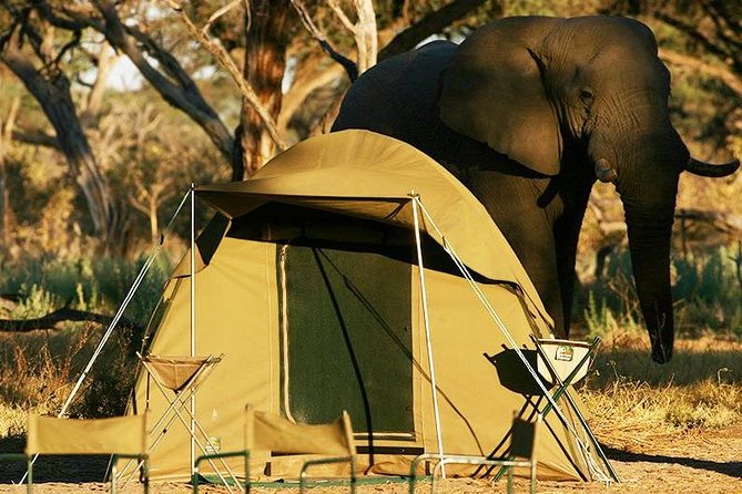 2-Day Camping Safari in Chobe National Park from Victoria Falls - From Victoria Falls to the Kazungula border