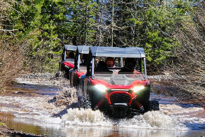 2 Hour High Cascades Scenic ATV Tour in Bend Oregon - Cache Mountain delivers the broad view