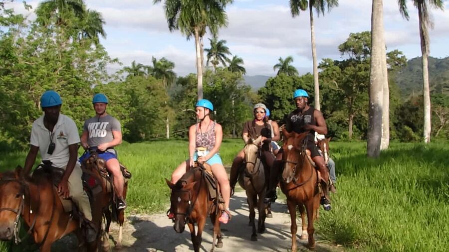 27 Waterfalls: Zip 'n Splash Adventure with Horse Ride - A final walk through the tropical garden