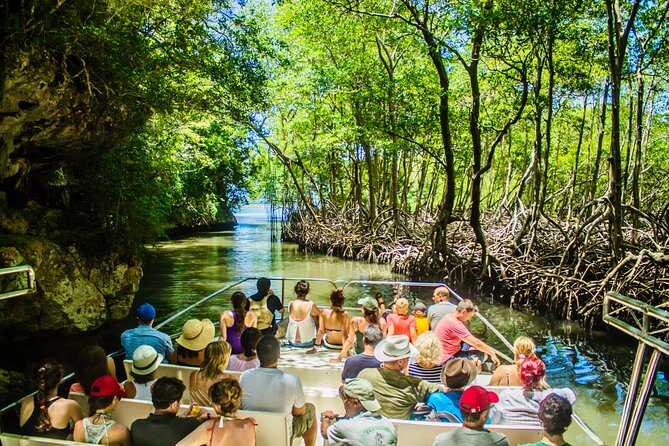 2in1: Los Haitises National Park + Yanigua Waterfall-SPA - Key things to know before booking