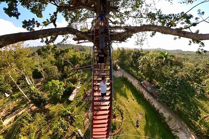 2in1: Los Haitises National Park + Yanigua Waterfall-SPA - Why this day trip is worth considering