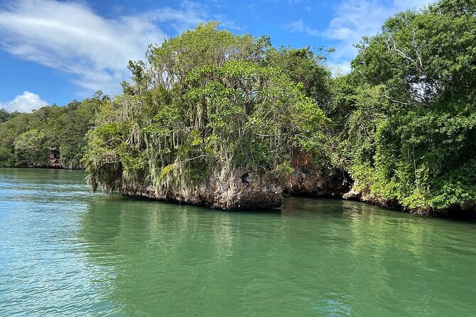 2in1: Los Haitises National Park + Yanigua Waterfall-SPA - Cocoa, coffee, and a taste of local work