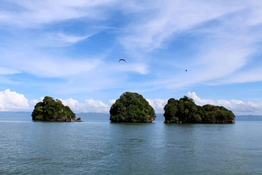 2in1: Los Haitises National Park + Yanigua Waterfall-SPA - Guide quality and language support