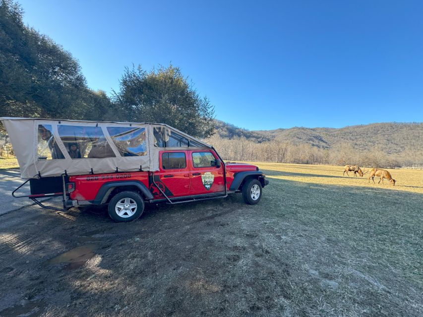 3.5-4 HR. Guided Safari Jeep Eco Waterfall Adventure - Is $149 a fair price?