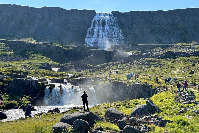 3,5-Hour Sightseeing Tour To Dynjandi Waterfall - Price and value at $84.65