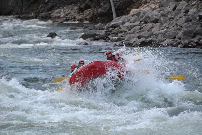 3.5 Hour Whitewater Rafting and Waterfall Adventure - Guides, safety, and the family question