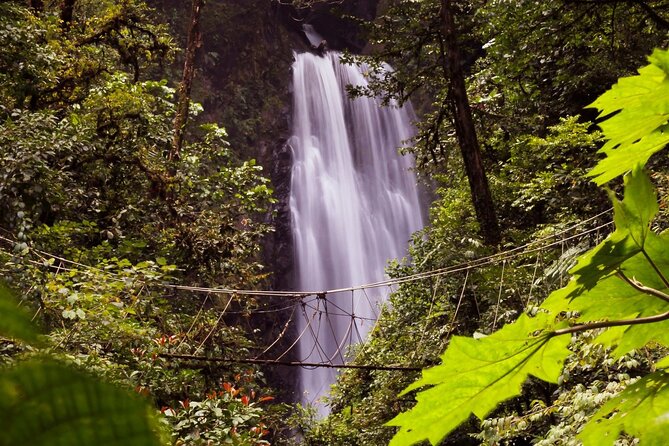 3-in-1 Monteverde Cloud Forest Waterfalls, Wild Trekking and Horseback Riding - The horseback ride back uphill