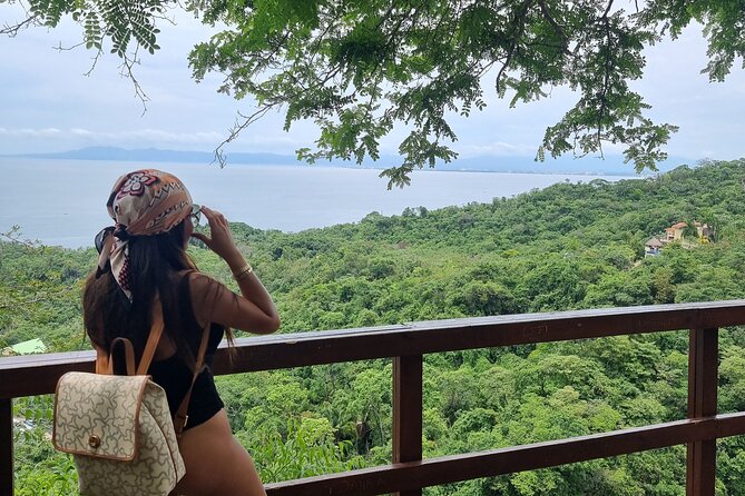 4-Hour Jungle Hike and Waterfall Swim - Shoes, water, insects, and what to pack