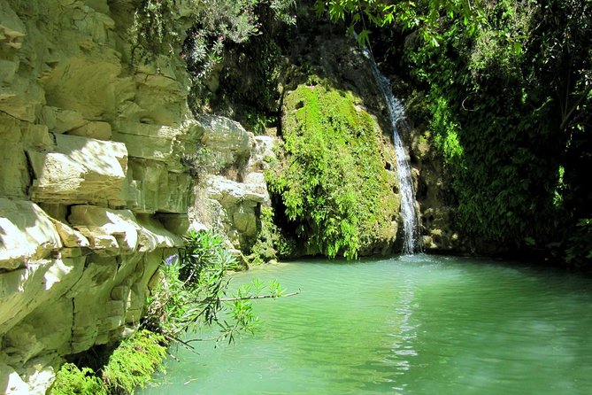 4 hour Quad & Buggy Safari Akamas(lara Bay) & Adonis Falls - Starting in Peyia with the right expectations