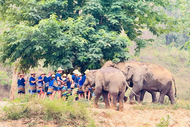 4 in 1 Elephants Long Neck Rafting and Sticky Waterfall Tour - Picking white-water or bamboo rafting