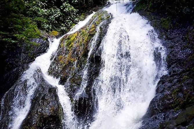 5 Hour Off-Road ATV+ Zipline+ Waterfall Rappelling+ Tractor Jungle Tour - Guides, Safety, and the Feel of the Day