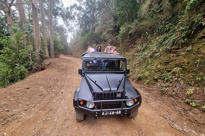5 Hours Private tour To Porto Moniz, Rock pools, waterfalls - Água d’Alto waterfall near São Vicente