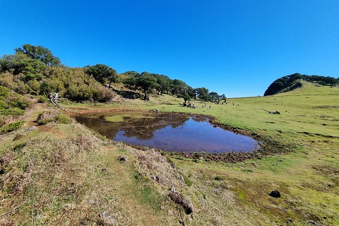 5 Hours Private tour To Porto Moniz, Rock pools, waterfalls - Ribeira da Janela brings rocks close to the sea