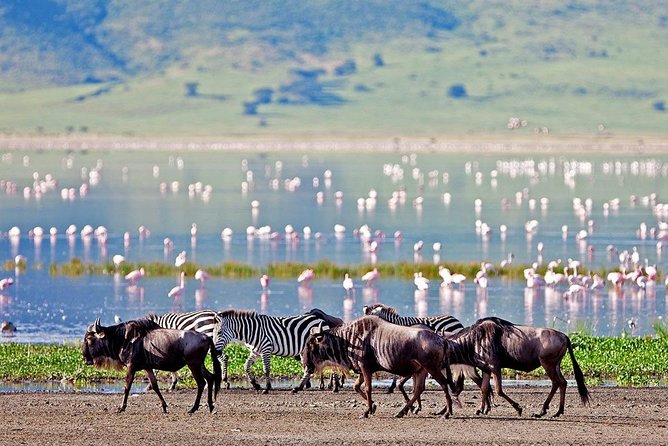 6 Days Serengeti Safari(hiking waterfalls &coffee tour) - Day 6: Materuni Waterfalls and Chagga culture
