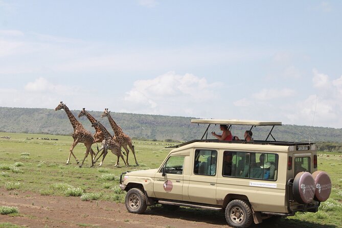 6 Days Serengeti Safari(hiking waterfalls &coffee tour) - Day 2: The long road into the Serengeti