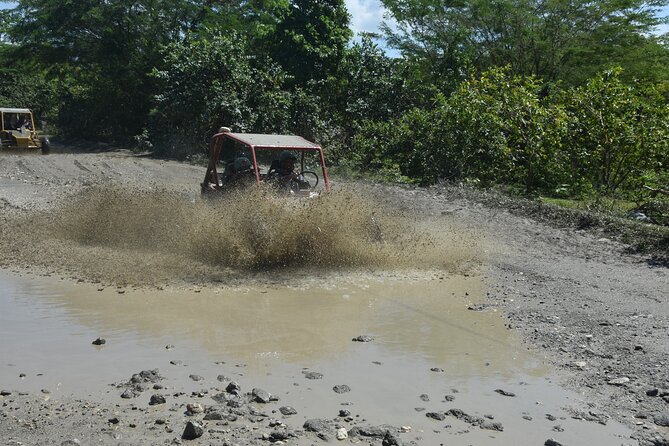 7 Waterfalls Damajagua and Dune Buggy - Who should book this Puerto Plata adventure?