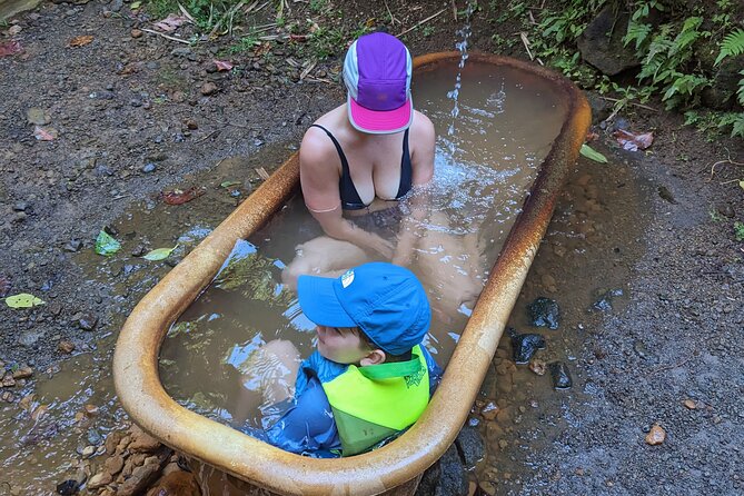 A Day of Relaxation in the Jungle and Waterfalls of Dominica - Starting at Middleham Falls at 9:30 a.m.