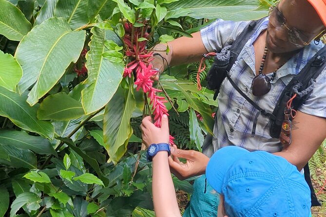 A Day of Relaxation in the Jungle and Waterfalls of Dominica - What Ketty adds to the experience