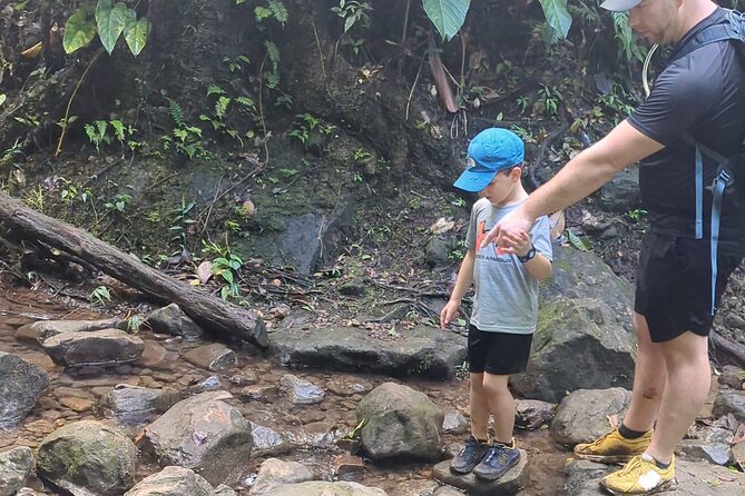 A Day of Relaxation in the Jungle and Waterfalls of Dominica - Price, transport, and the real cost of the day
