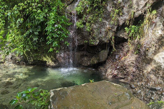 A Day of Relaxation in the Jungle and Waterfalls of Dominica - Who should book this experience?