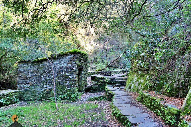 A tour between Cascades and Schist Villages, Piodão - Benfeita shows how stone and water fit together