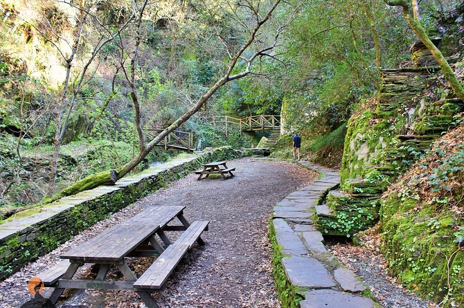 A tour between Cascades and Schist Villages, Piodão - Mata da Margaraça adds a forest pause