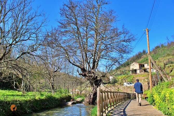 A tour between Cascades and Schist Villages, Piodão - Coja brings water into the picture