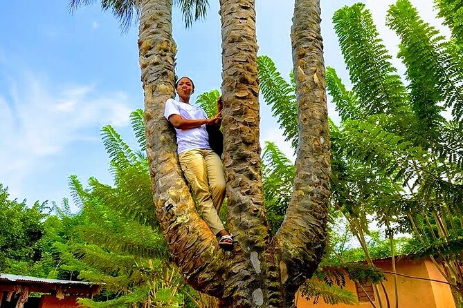 A Tour to Boti Falls - Who will enjoy this Boti Falls day trip?