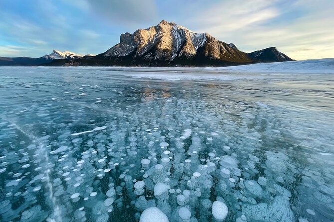Abraham Ice Bubble/Sunwapta Falls,Snowshoeing,Icefield, Bow&Peyto - Abraham Lake’s frozen bubbles are the winter prize