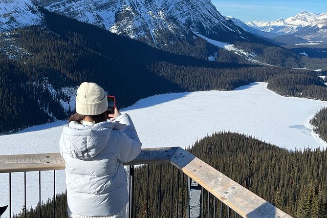 Abraham Ice Bubble/Sunwapta Falls,Snowshoeing,Icefield, Bow&Peyto - What the vehicle, guide, and group size mean