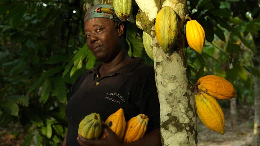 Accra Aburi Eco & Cocoa Experience: Gardens Waterfall &Lunch - Aburi Botanical Gardens: a slower middle section