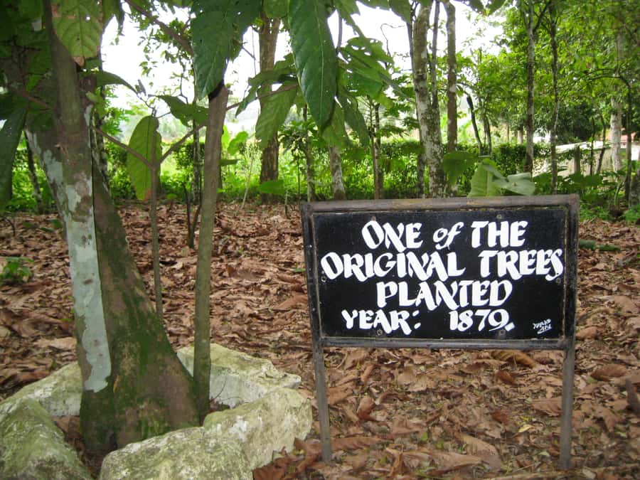 Accra Aburi Eco & Cocoa Experience: Gardens Waterfall &Lunch - The waterfall stop adds a welcome change of pace