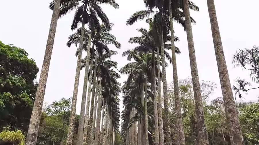 Accra: Eastern Region Waterfalls Tour - Leaving Accra for the Eastern Region