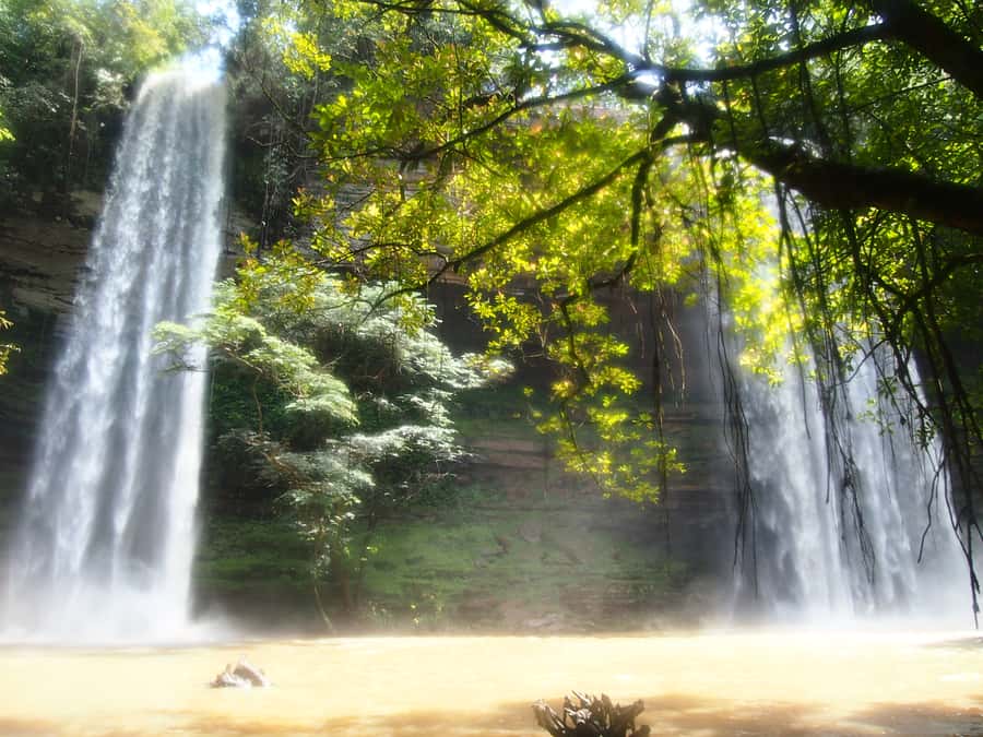 Accra: Eastern Region Waterfalls Tour - Umbrella Rock and the three-headed palm tree