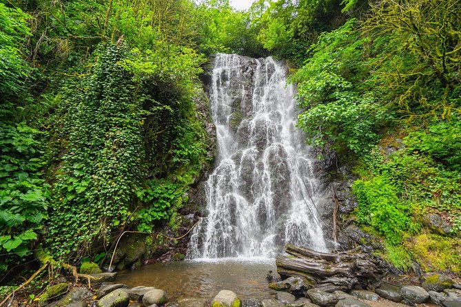 Adjarian Mountains Waterfalls Wine Tour Best views from Batumi Kobuleti - Five things to know before you book