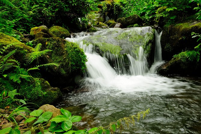 Adjarian Mountains Waterfalls Wine Tour Best views from Batumi Kobuleti - Makhuntseti Waterfall and Queen Tamara’s bridge