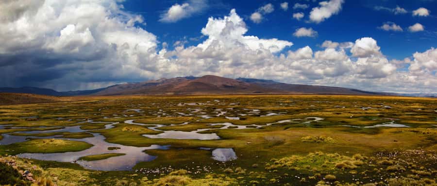 Adventure Day in Arequipa: Pillones Waterfall + Rock Forest - Salinas and Aguada Blanca National Reserve