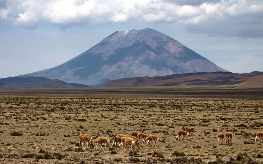 Adventure Day in Arequipa: Pillones Waterfall + Rock Forest - Acclimatization before the waterfall