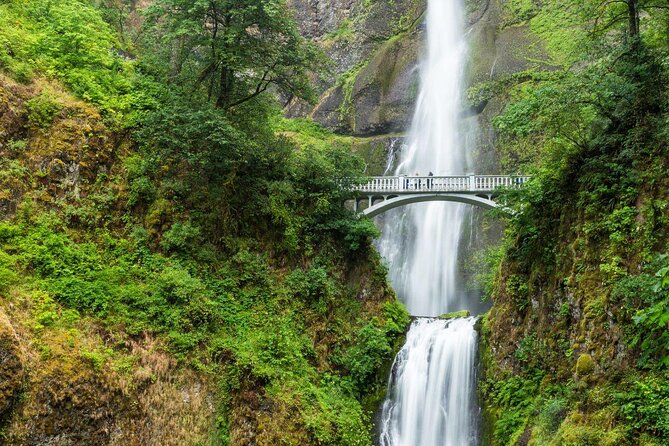 Afternoon Half-Day Multnomah Falls and Columbia River Gorge Waterfalls Tour from Portland - Key points to know before you book