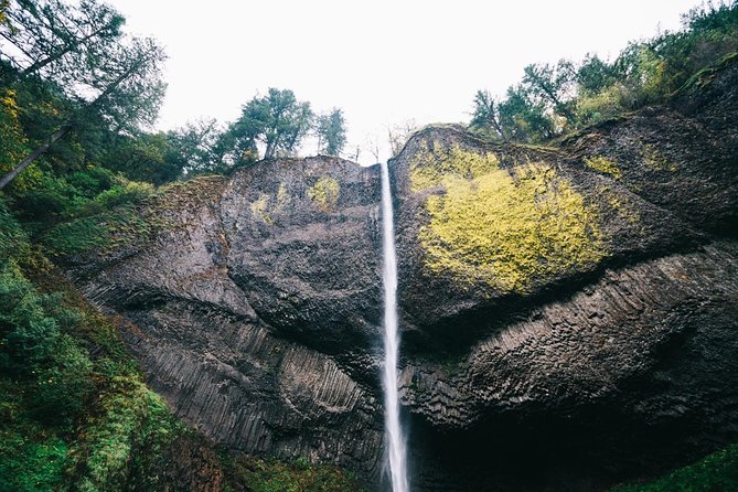 Afternoon Half-Day Multnomah Falls and Columbia River Gorge Waterfalls Tour from Portland - Multnomah Falls is the main event