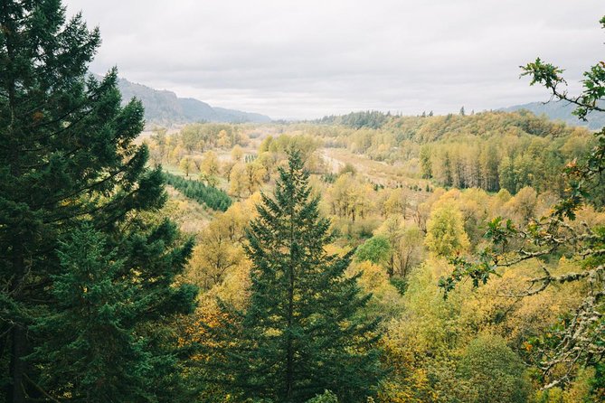 Afternoon Half-Day Multnomah Falls and Columbia River Gorge Waterfalls Tour from Portland - Horsetail Falls depends on the clock