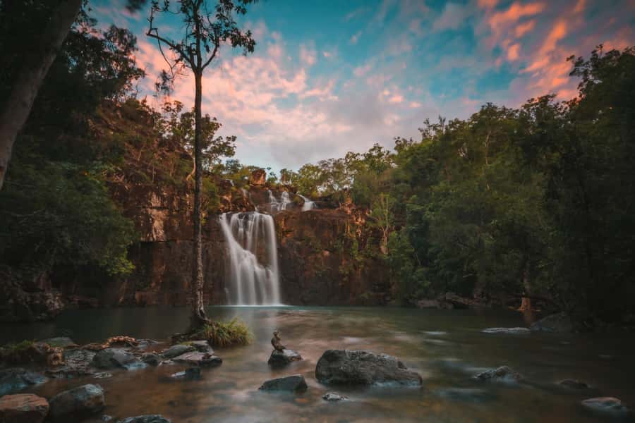 Airlie Beach: Cedar Creek Falls & Northerlies Beach Day Trip - Forest details worth slowing down for